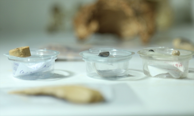 Direkli Mağarası'nda Üst Paleolitik döneme ait taştan dilgi bulundu